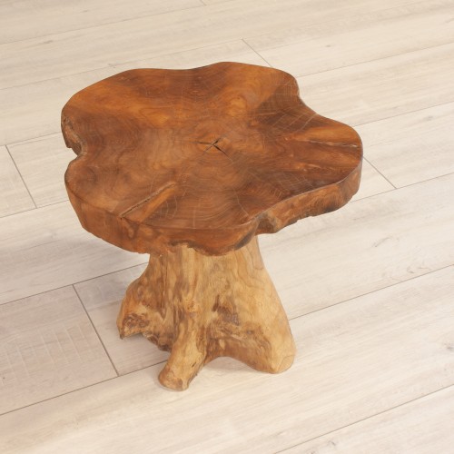 Root Mushroom Stool / Table MJ336